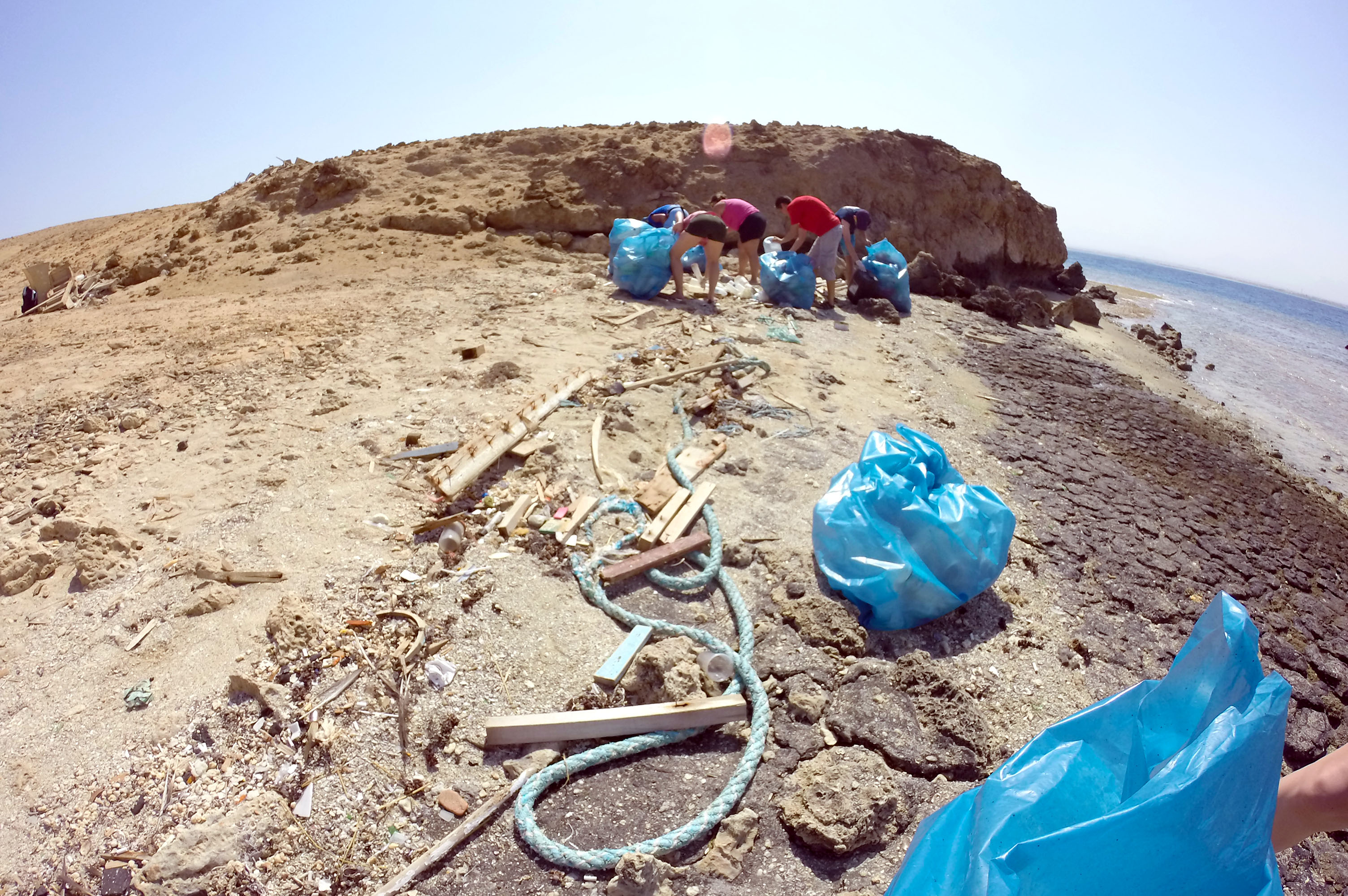 Padi Clean Up Day Hurghada